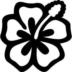 hibiscus 13
