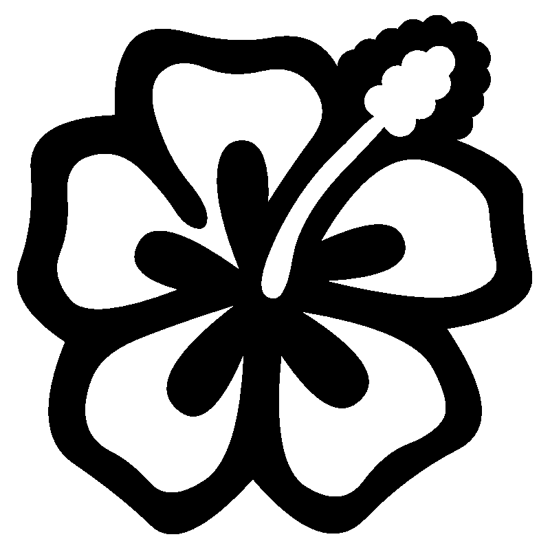hibiscus 13