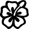hibiscus 13
