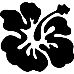 hibiscus 14
