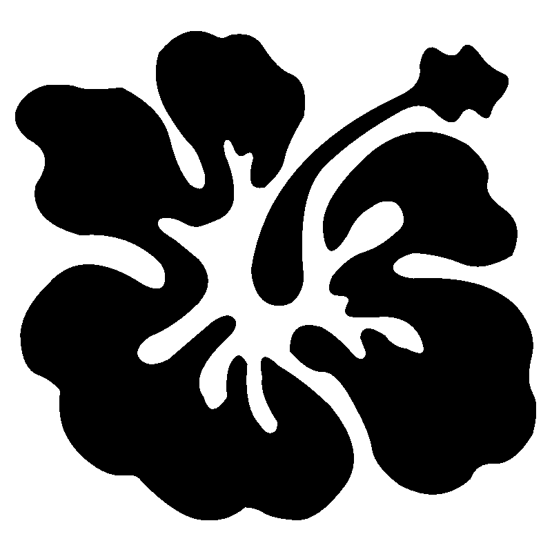 hibiscus 14