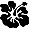 hibiscus 14