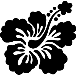 hibiscus 16