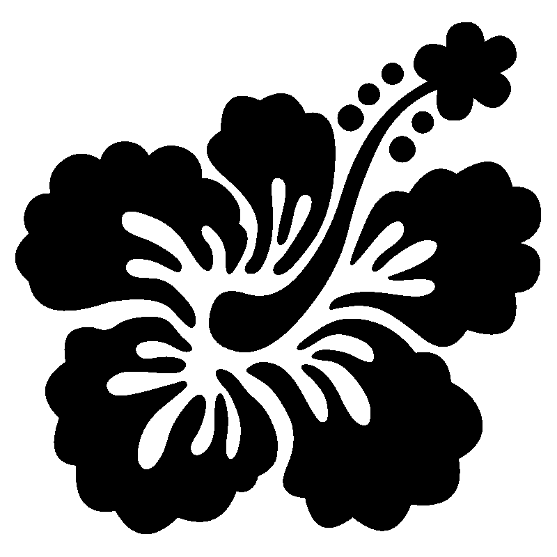 hibiscus 16