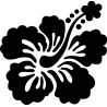 hibiscus 16