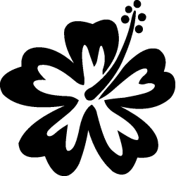 hibiscus 17