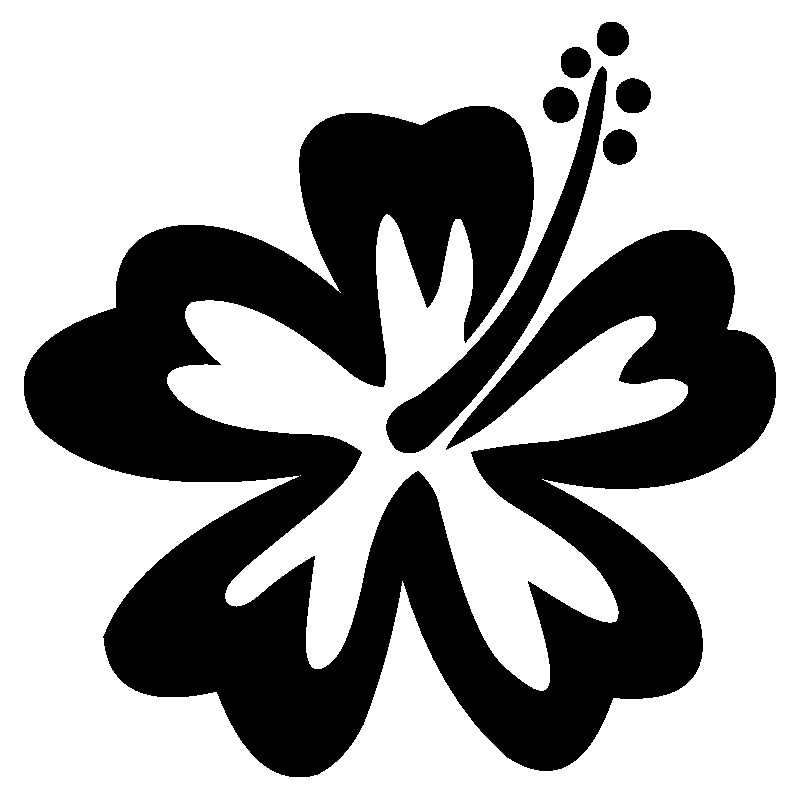 hibiscus 17