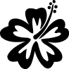 hibiscus 17