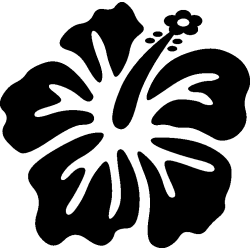 hibiscus 18