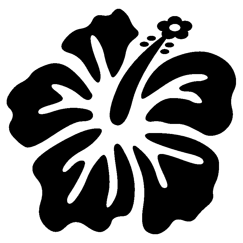 hibiscus 18
