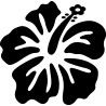 hibiscus 18