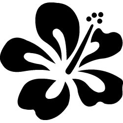 hibiscus 19