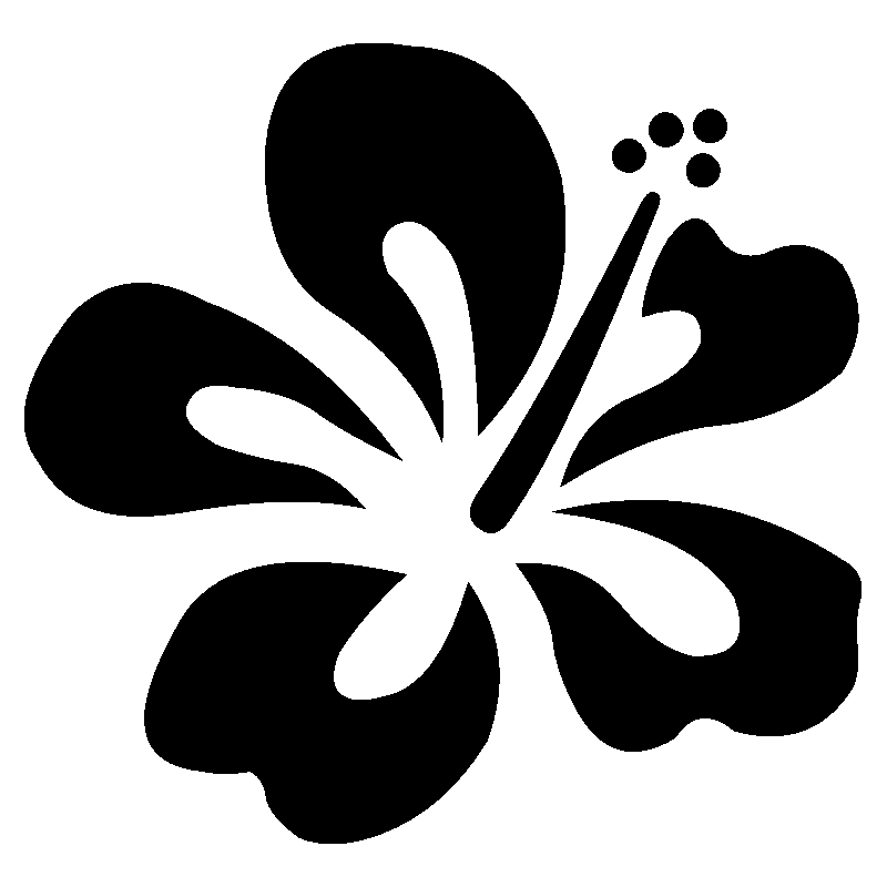 hibiscus 19