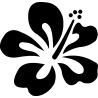 hibiscus 19