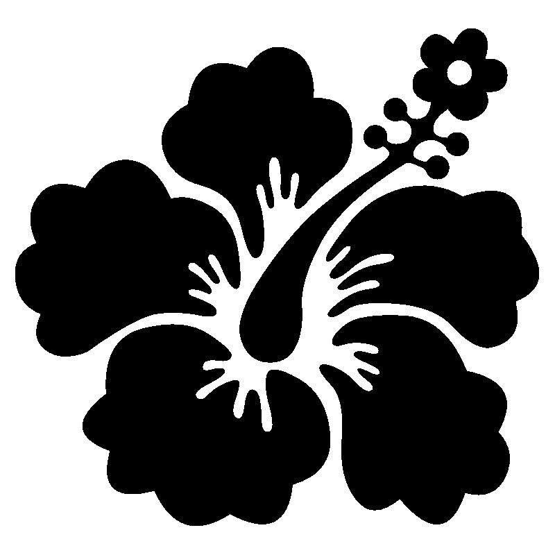 hibiscus 20