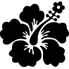hibiscus 20