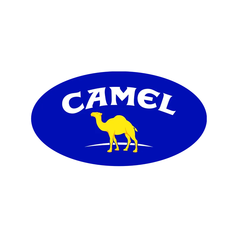 Camel couleur