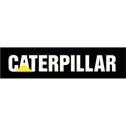 Caterpillar couleur