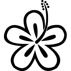 hibiscus 24