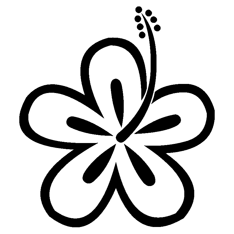 hibiscus 24