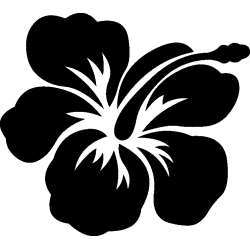 hibiscus 25