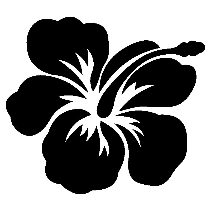 hibiscus 25