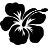 hibiscus 25