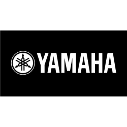 Yamaha Fazer couleur