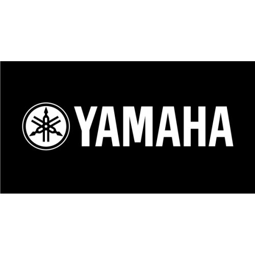 Yamaha Quad couleur