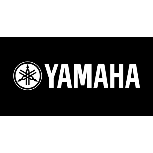 Yamaha Fazer couleur