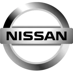 Nismo couleur