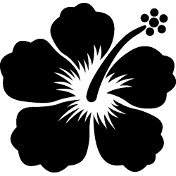 hibiscus 26