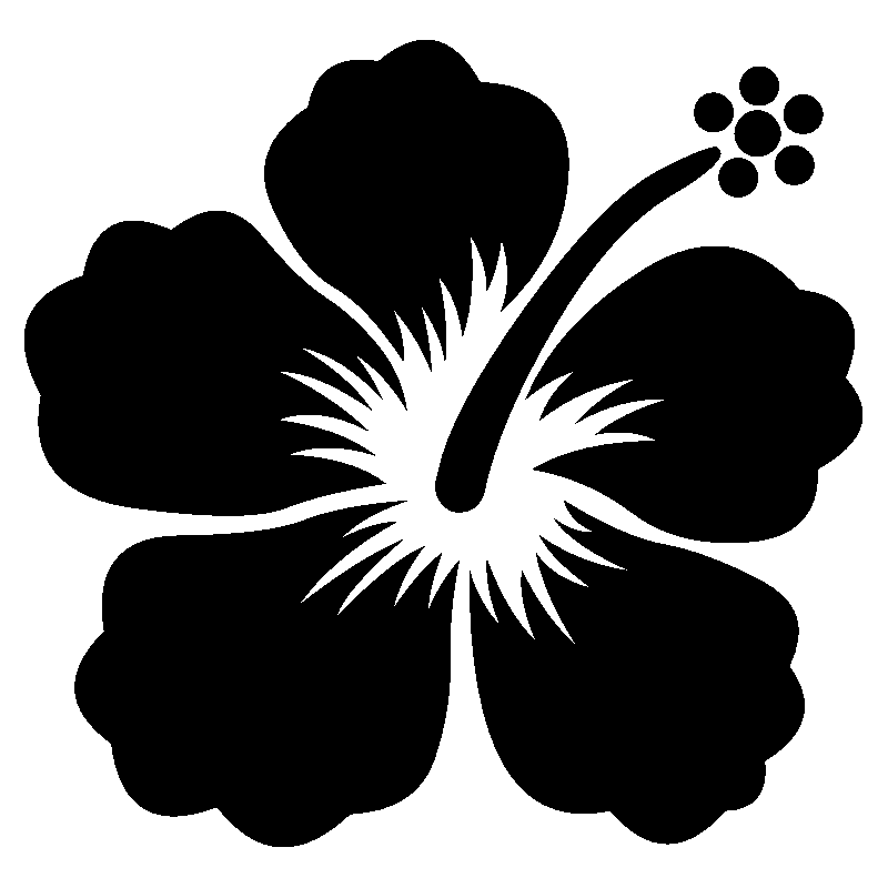 hibiscus 26