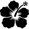 hibiscus 26
