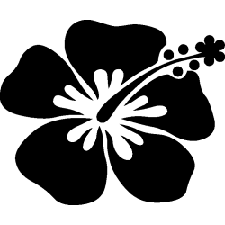 hibiscus 27