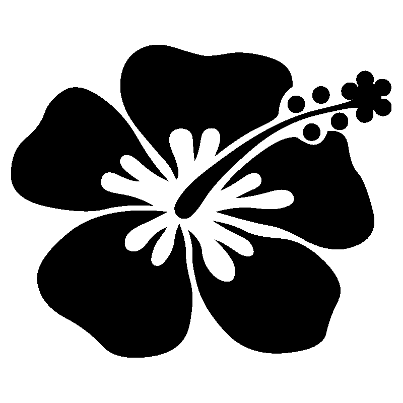 hibiscus 27