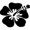 hibiscus 27