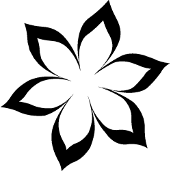 hibiscus 28
