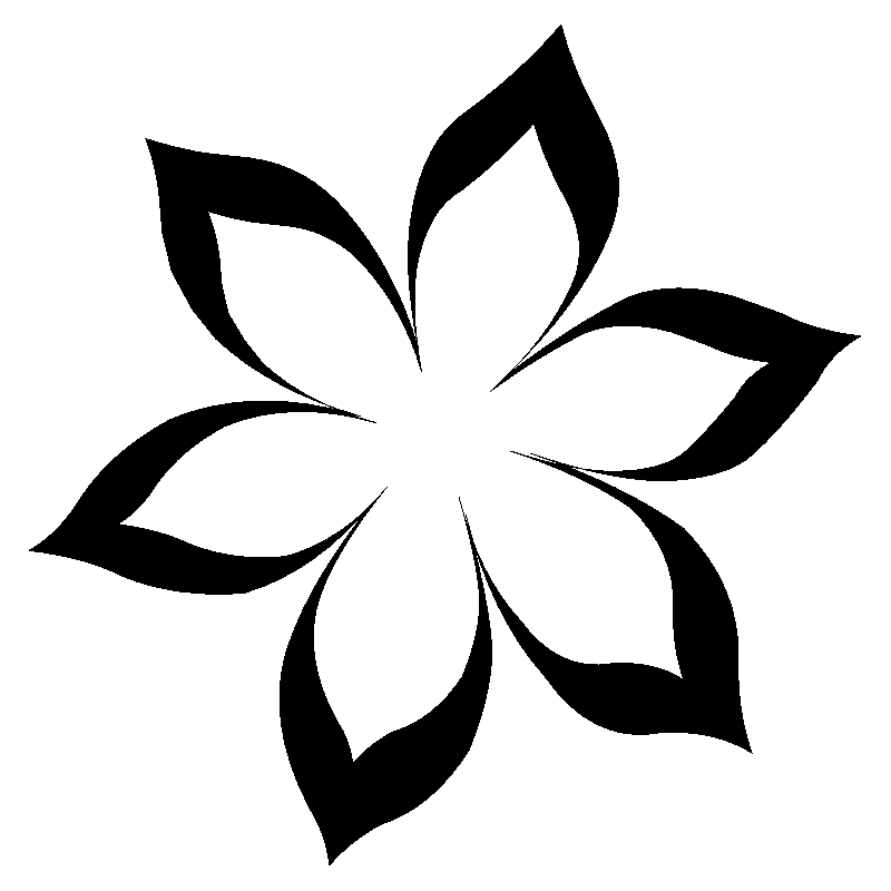 hibiscus 28
