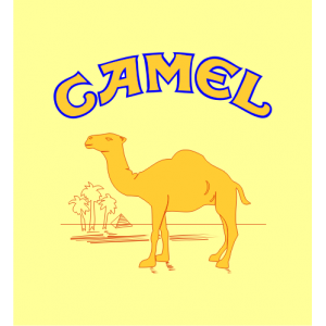 Camel couleur
