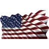 drapeau 883