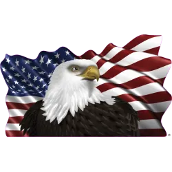 drapeau 885