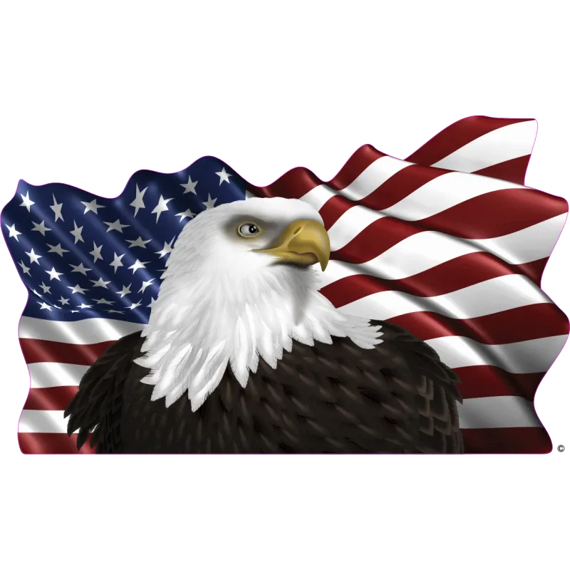drapeau 885