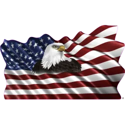 drapeau 889