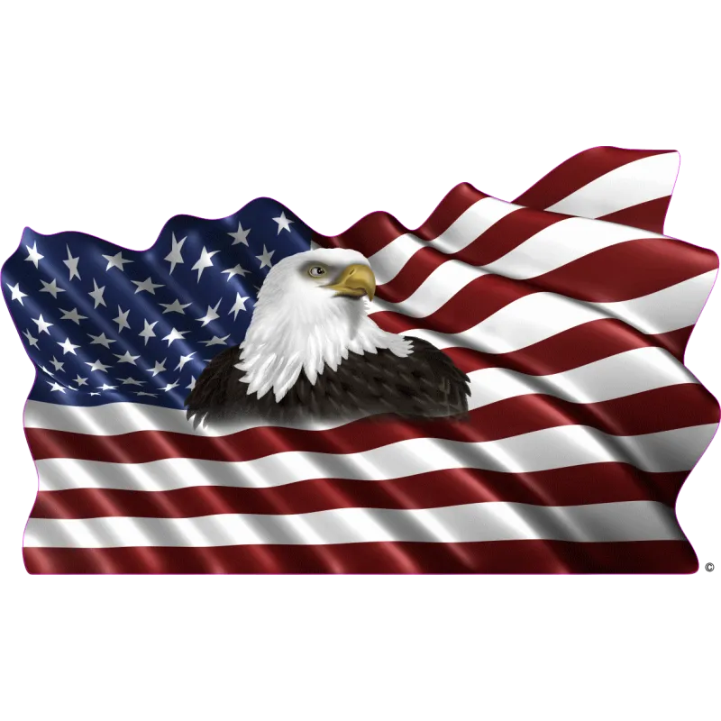 drapeau 889