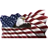 drapeau 889