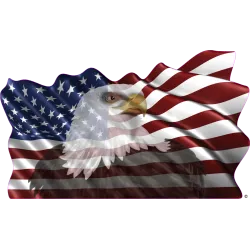 drapeau 890