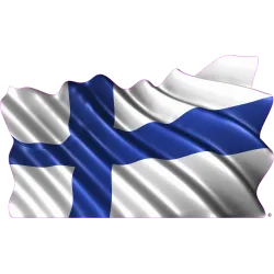 drapeau 891