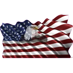 drapeau 893