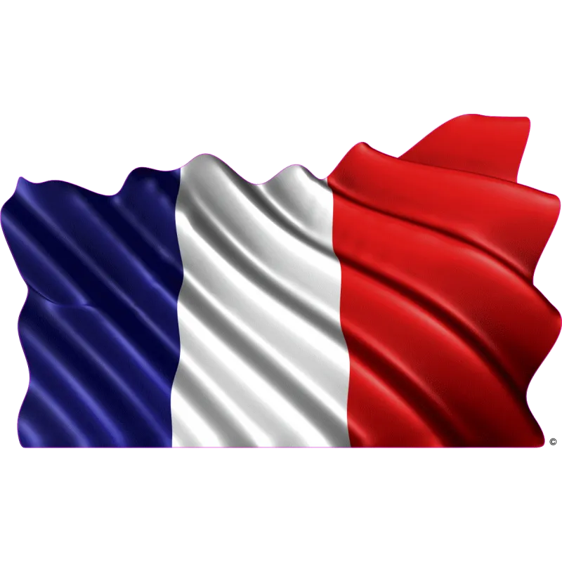 drapeau 894